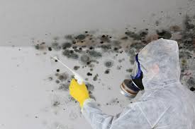 Mold Removal for HVAC Installations in Pompano Beach, FL